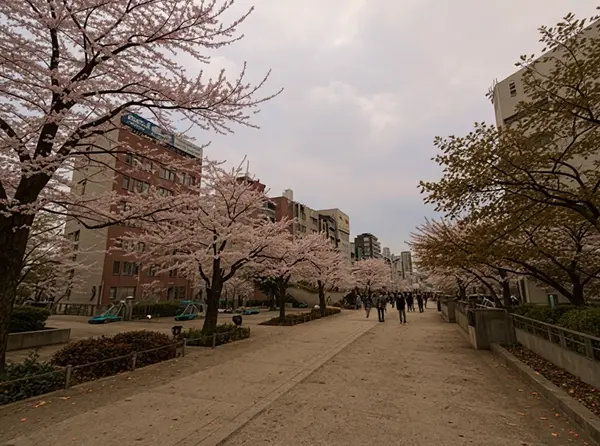 Sumida Park