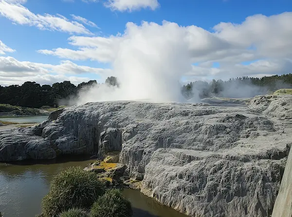 Te Puia / Whakarewarewa Geothermal Valley