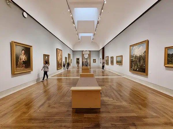 Museum of Fine Arts