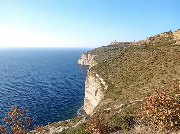 Dingli Cliffs