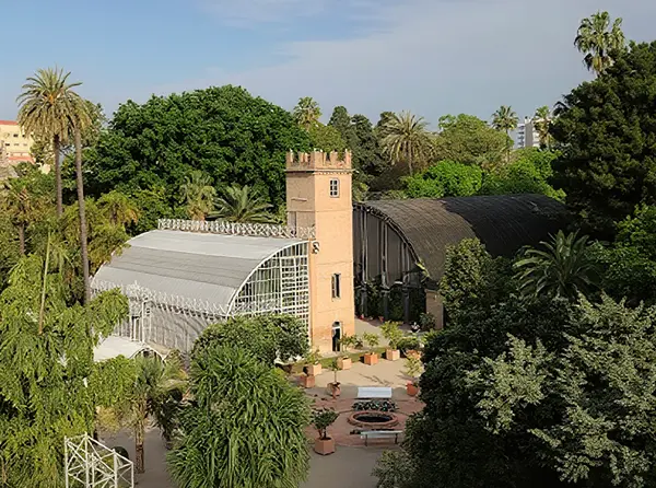Visit Real Jardín Botánico