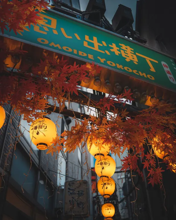 Omoide Yokocho
