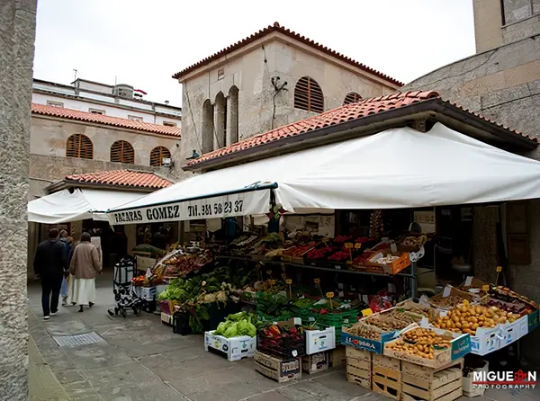 Visit Mercado de Abastos
