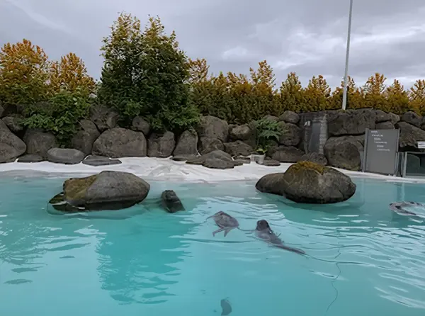 Laugardalur Park and Zoo