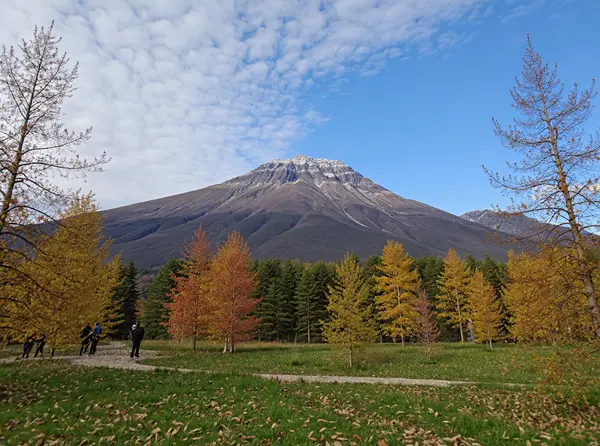 Mount Ararat Viewpoint