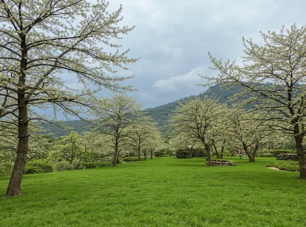 Nong Nooch Tropical Botanical Garden