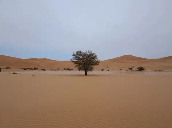 Sossusvlei