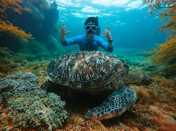 Apo Island (Dauin/Apo Island, Negros Oriental)