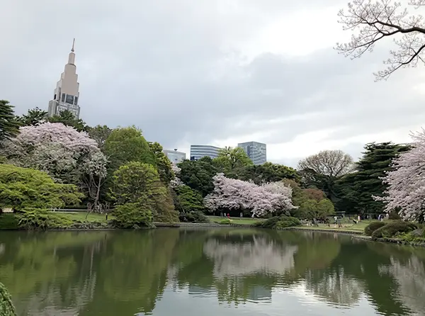 Shinjuku Gyoen National Garden