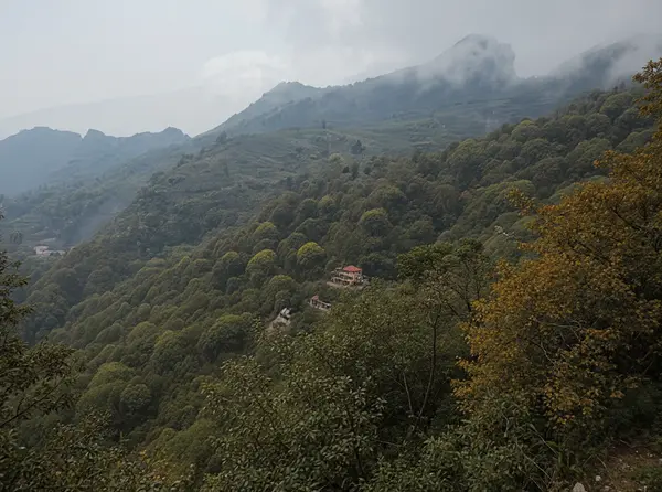 Ham Rong Mountain / Ham Rong Park (Vườn hoa, Cáp treo Ham Rong)