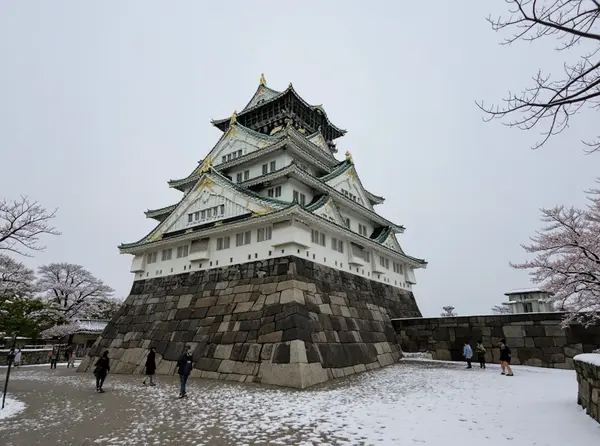Osaka Castle (Osaka)