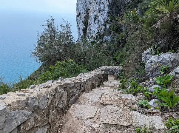 Mediterranean Steps