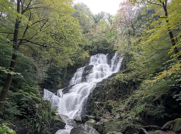 Killarney National Park (Killarney)