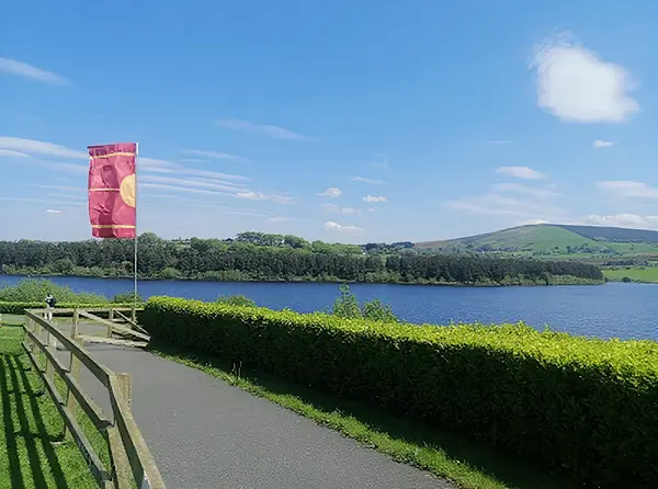Blessington Lakes Autumn Walk
