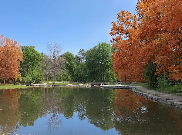 Oak Openings Preserve Metropark