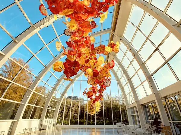 Chihuly Garden and Glass 2