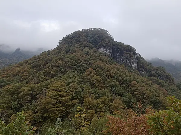 Ham Rong Mountain