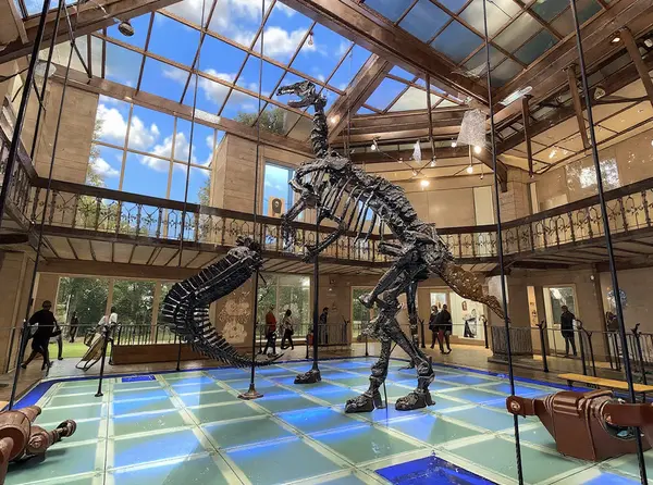 Children’s Science Museum - Museum of Natural Sciences