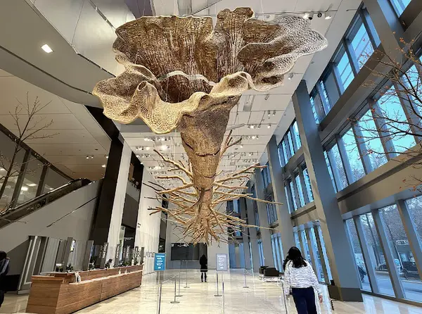 Seattle Art Museum (SAM)