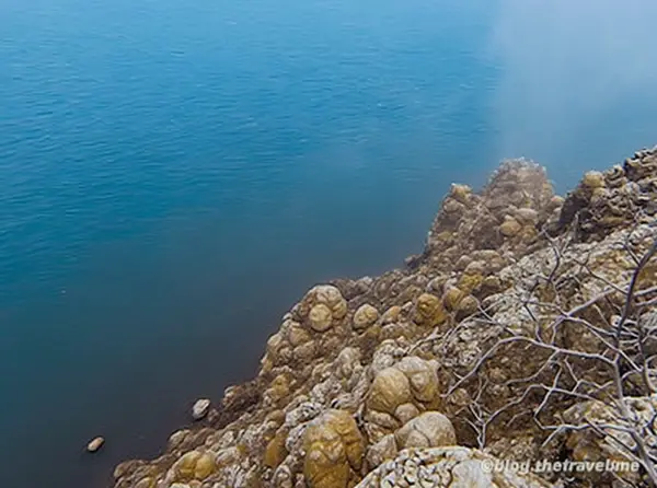 Pescador Island & Moalboal Sardine Run (Moalboal, Cebu)