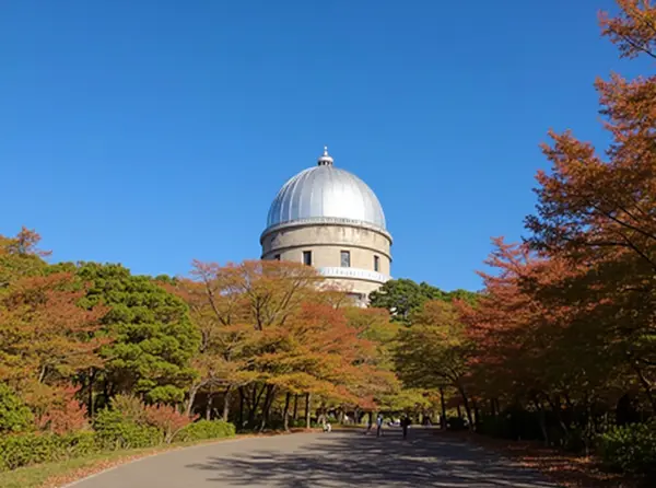 Shiroyama Park & Observatory (Shiroyama Observatory)