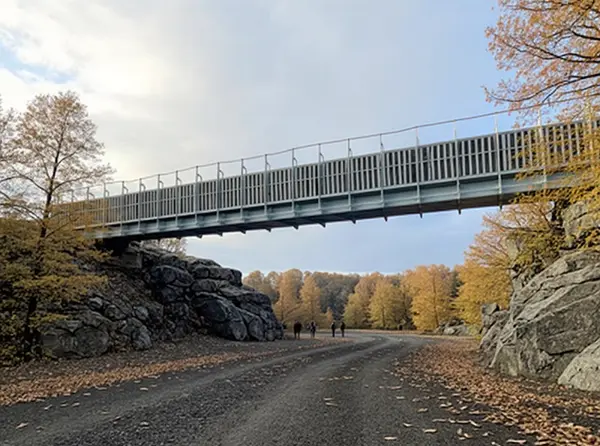 Bridge Between Continents (Brú milli heimsálfa) – footbridge across the Eurasian and North American plates