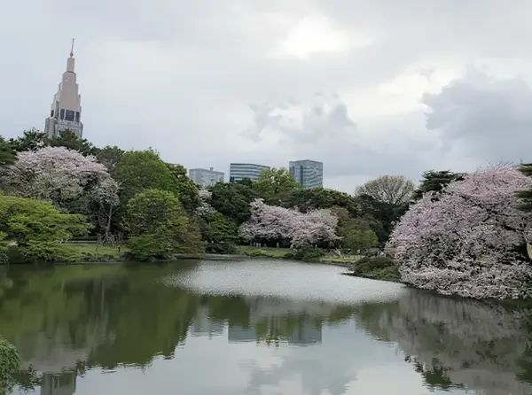 Shinjuku Gyoen National Garden