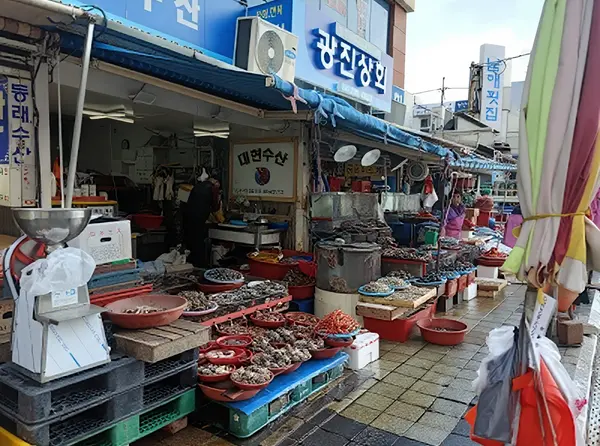 Jagalchi Fish Market