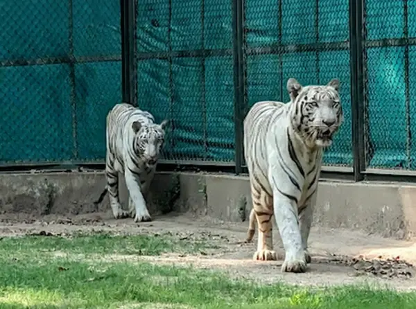 Sarthana Nature Park