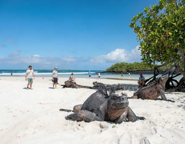 Tortuga Bay