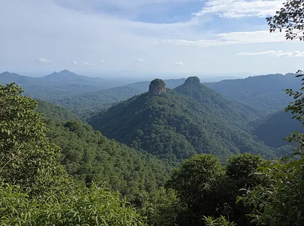 Taman Negara National Park