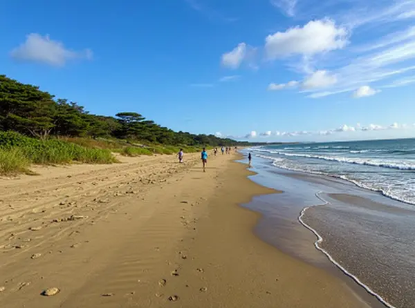 Chirihama Nagisa Driveway (beach driving)
