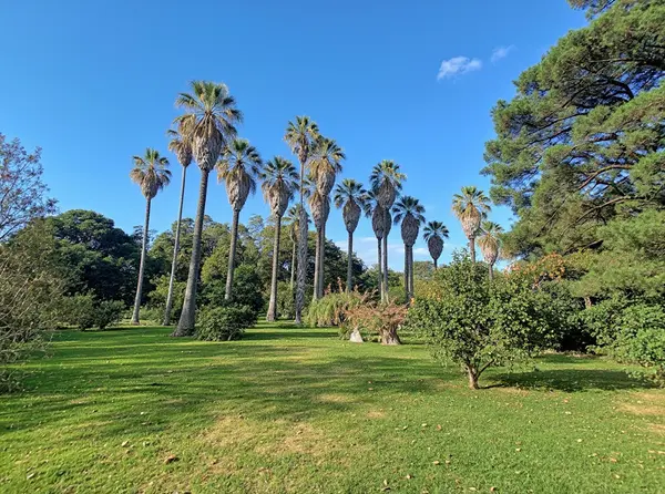 Stroll through a botanical garden