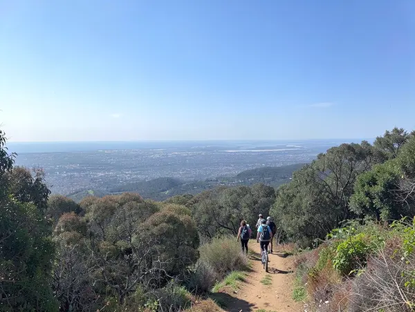 Mount Lofty Summit