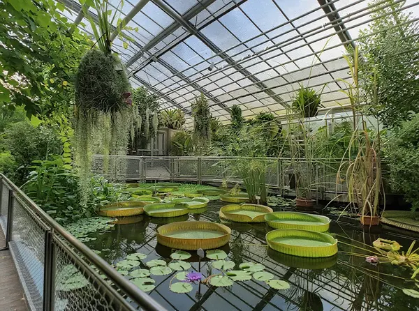 Botanical Garden of the Friedrich Schiller University Jena (Botanical Garden) 2