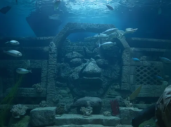 Downtown Aquarium