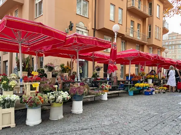 Dolac Market (Tržnica Dolac)
