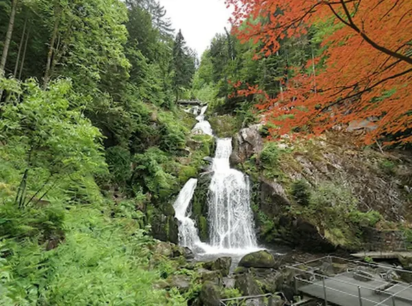 Triberg Waterfalls (Triberg im Schwarzwald)