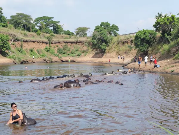 Mara River