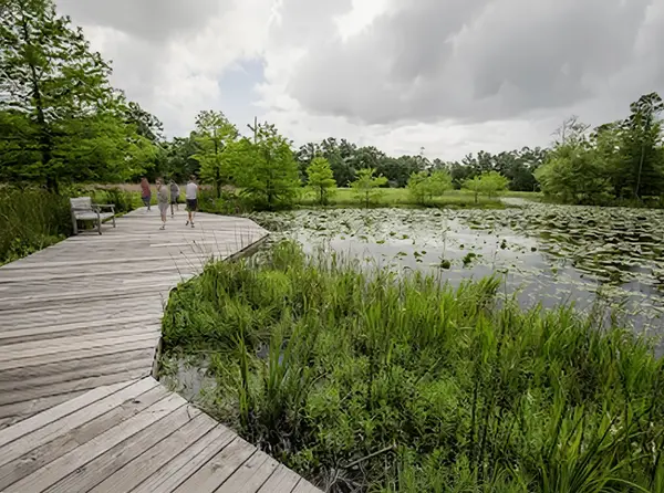 Houston Arboretum and Nature Center