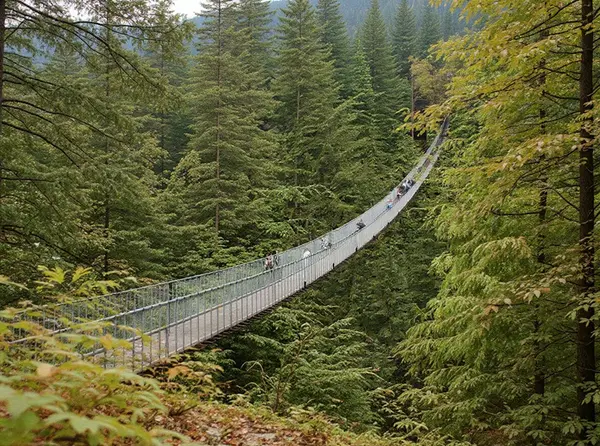 Capilano Suspension Bridge Park
