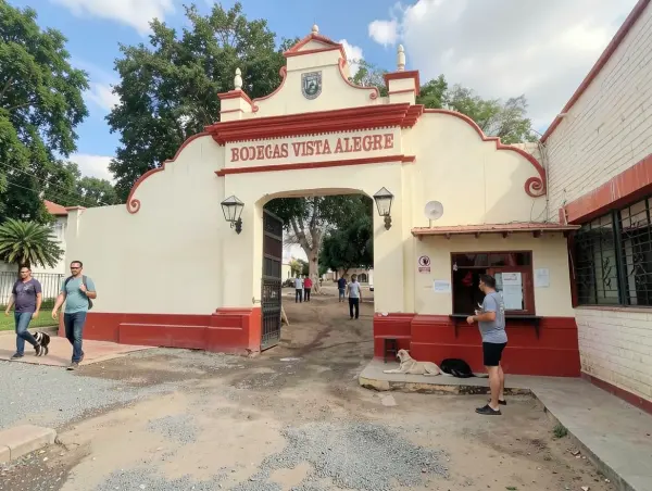 Bodega Vista Alegre