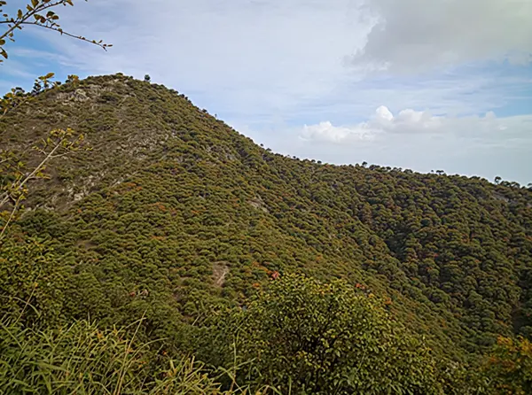 Tanjung Unta Hill