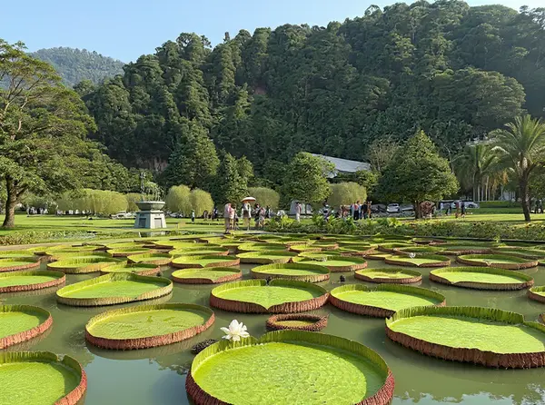 Penang Botanic Gardens