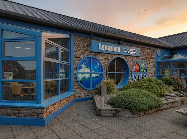 Dingle Oceanworld Aquarium