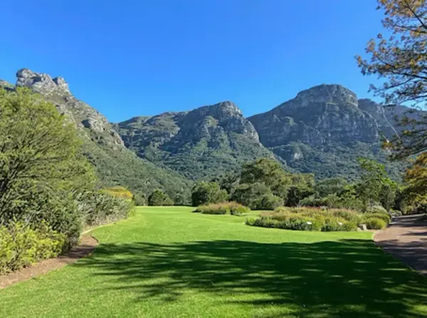 Kirstenbosch National Botanical Garden (Newlands, Cape Town)