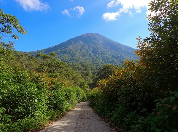 Gunung Gede Pangrango National Park