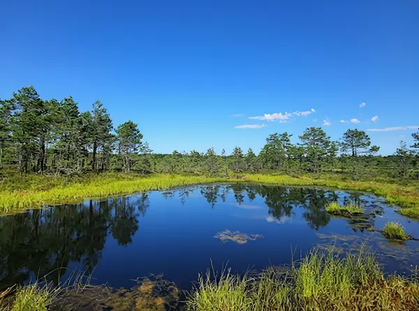 Lahemaa National Park