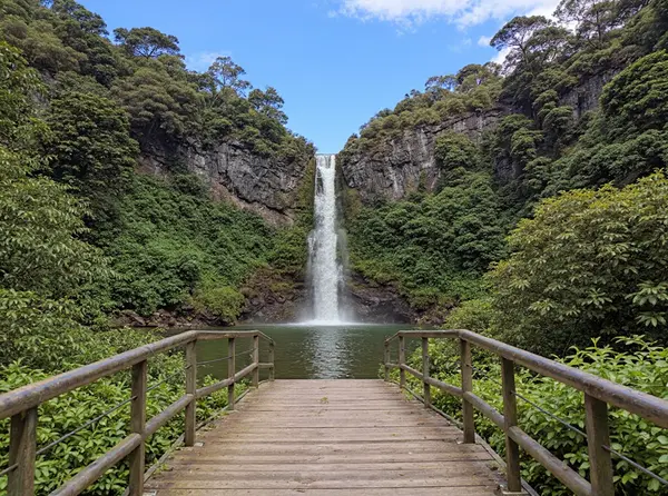 Wairere Falls Walkway