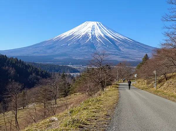 Mount Fuji (Fujinomiya/Hakone)